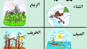 سبب حدوث الفصول الاربعة؟