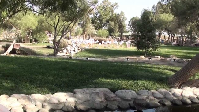 أجمل الأماكن السياحية في البحرين