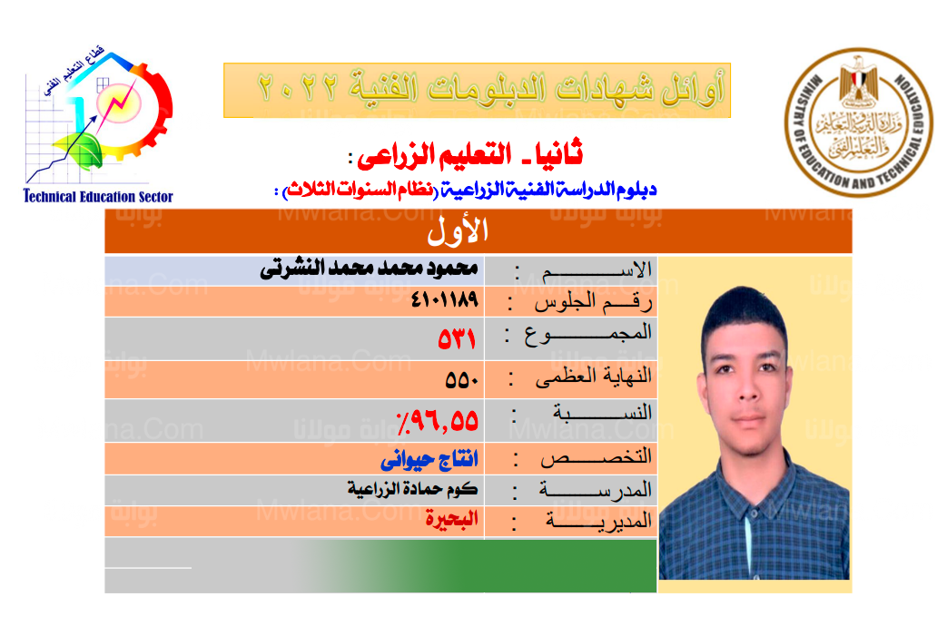 اسماء اوائل الدبلومات الفنية 2022 اليوم السابع