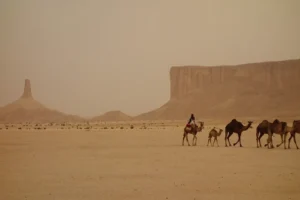 الحذيفي وش يرجع .. عائلة الحذيفي من وين