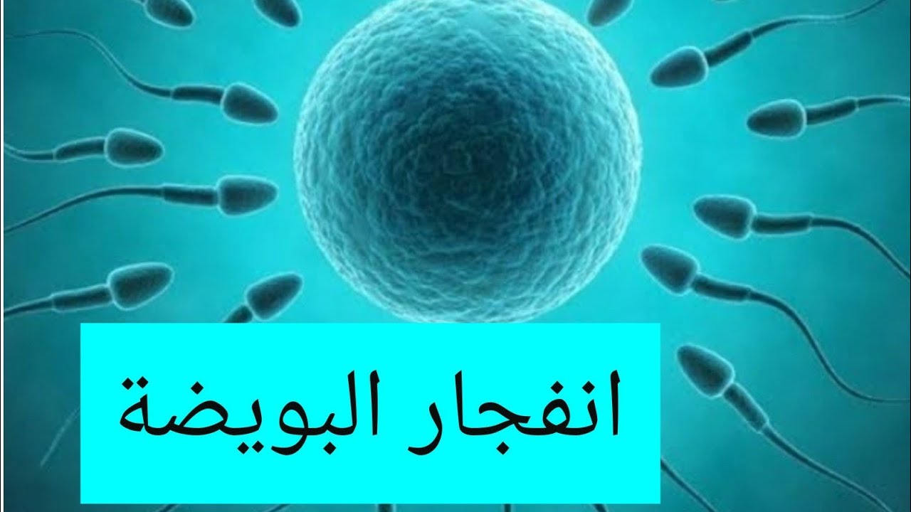 سائل انفجار البويضة عالم حواء