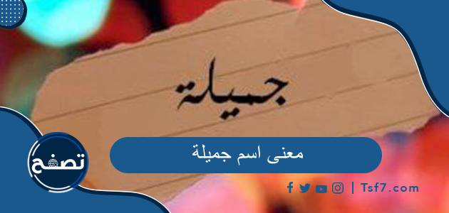 ما معنى اسم جميلة وصفات حاملة الاسم المميزة